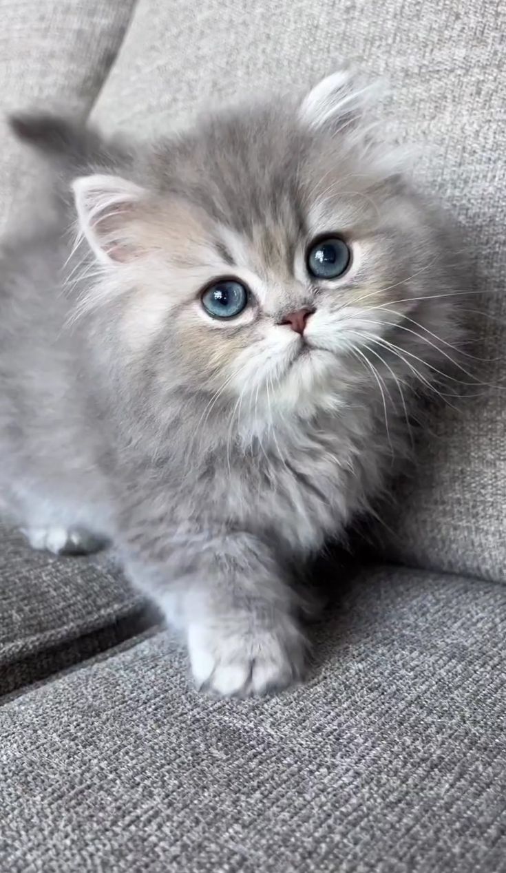 افضل غسول للبشرة ف مصر ومش مقاطعه